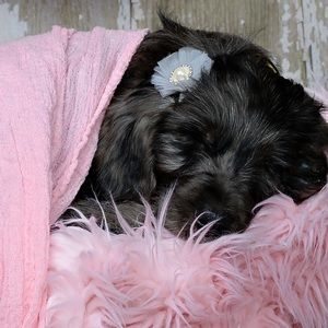 Meet your Posher, Gabriella